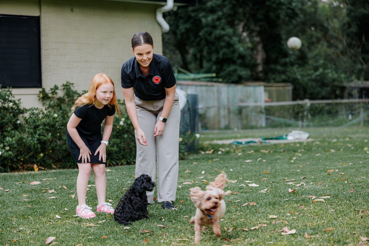 Family time with 2 puppies