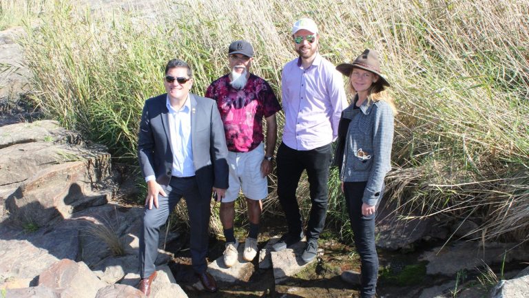 Ginninderra Creek where bush renewal is making a difference