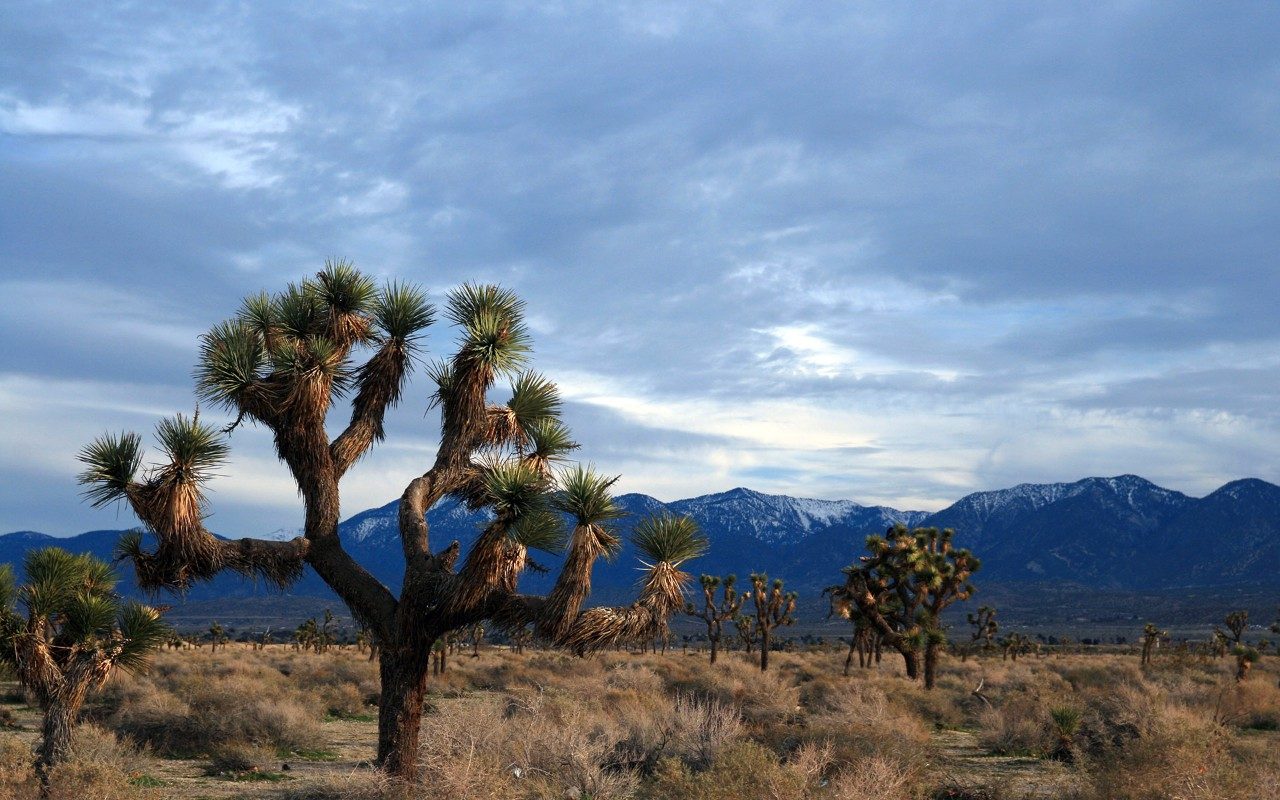 Lockheed Martin Careers | Lockheed Martin