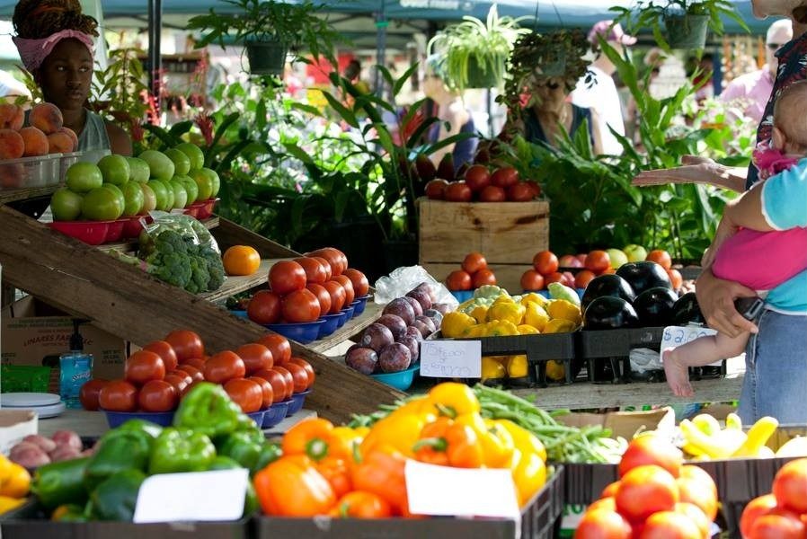 Ocala Farmer's Market