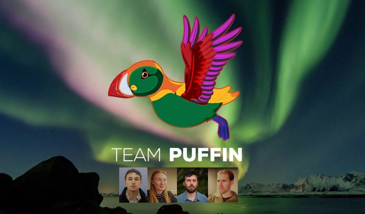 Team Puffin