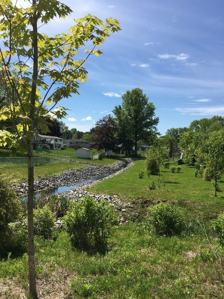 Looking downstream from the wooded area (summer 2017).